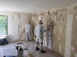 Best Basement Mold Removal  in Hannahs Mill, GA